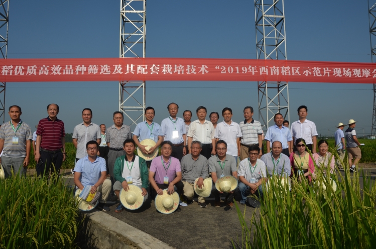 微信图片_20260709224227_398_23 微信图片_20260709224227_398_23
